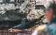 Rottnest Island Tour From Perth Or Fremantle Including Adventure Speed Boat Ride - thumb 14