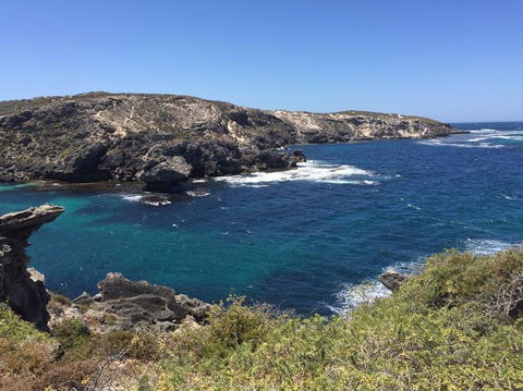 Rottnest Island Tour From Perth Or Fremantle Including Bus Tour - Accommodation Bookings 3