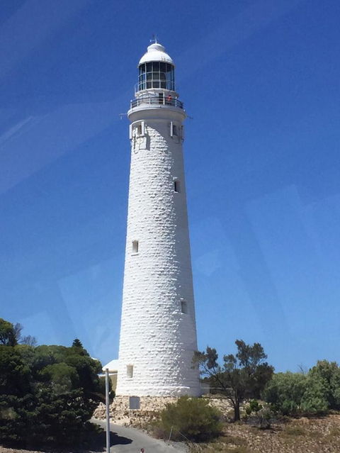 Rottnest Island Tour From Perth Or Fremantle Including Bus Tour - Accommodation Bookings 2