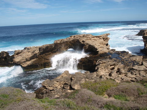 Rottnest Island Tour From Perth Or Fremantle Including Bus Tour - Accommodation Bookings 5