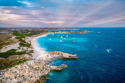 Rottnest Island Tour From Perth Or Fremantle Including Bus Tour - Accommodation Bookings 8
