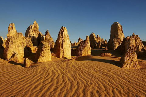 Pinnacles Day Trip From Perth Including Yanchep National Park - Accommodation Bookings 0