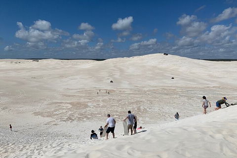 Pinnacles Day Trip From Perth Including Yanchep National Park - Accommodation Bookings 3
