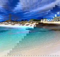 Rottnest Island Grand Tour Including Lunch and Historical Train Ride - Accommodation Bookings