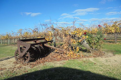Swan Valley Tour From Perth: Wine, Beer And Chocolate Tastings - Accommodation Bookings 7