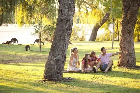 Pinnacles Sunset Dinner And Wildlife Experience A Small Group Tour - Accommodation Bookings 1