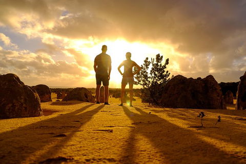 Pinnacles Sunset Dinner And Wildlife Experience A Small Group Tour - Accommodation Bookings 7