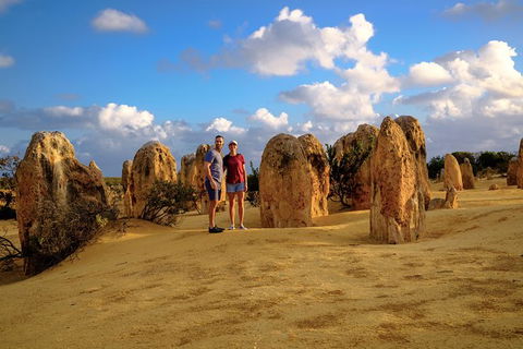 Pinnacles Sunset Dinner And Wildlife Experience A Small Group Tour - Accommodation Bookings 8