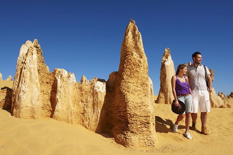 Pinnacles Sunset Dinner And Wildlife Experience A Small Group Tour - Accommodation Bookings 5