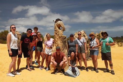 Pinnacles Sunset Dinner And Wildlife Experience A Small Group Tour - Accommodation Bookings 2