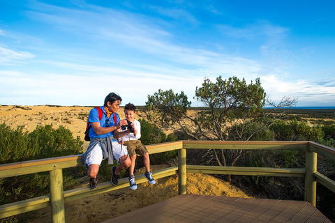 Pinnacles Sunset Dinner And Wildlife Experience A Small Group Tour - Accommodation Bookings 4