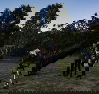 Stargazing Busselton with Mobile Observatory - Accommodation Bookings