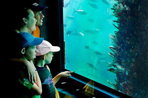 2-hour Busselton Jetty Package: Jetty Train And Underwater Observatory - Accommodation Bookings 1