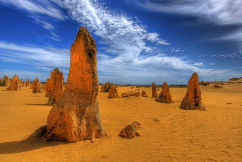 Full Day Pinnacle Desert Explorer From Perth Including Hillarys And Lancelin Sandboarding - Accommodation Bookings 5