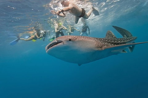 7 Day Perth To Exmouth Cruiser : Return - Accommodation Bookings 1