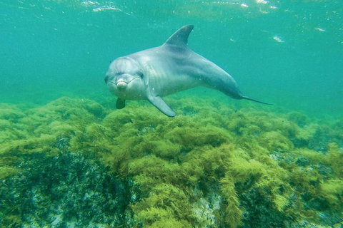 10 Day Perth To Adelaide - The Great Australian Wilderness Journey - Accommodation Bookings 20
