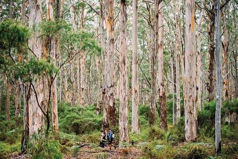 10 Day Perth To Adelaide - The Great Australian Wilderness Journey - Accommodation Bookings 18