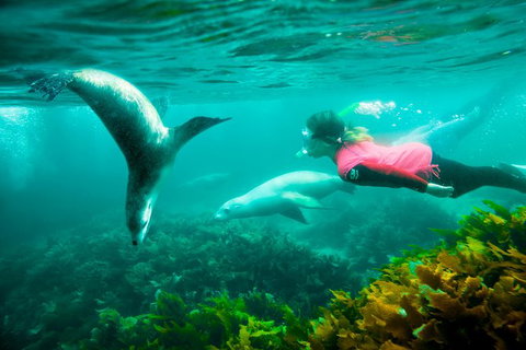10 Day Perth To Adelaide - The Great Australian Wilderness Journey - Accommodation Bookings 25