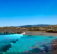 Rottnest Island Roundtrip Fast Ferry from Hillarys Boat Harbour - Accommodation Bookings
