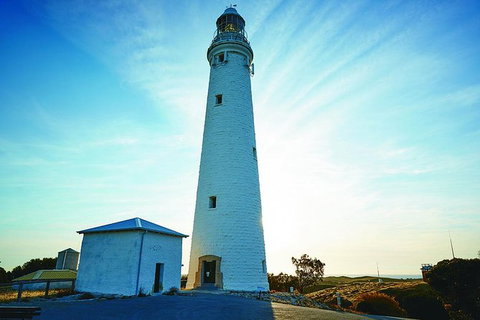 Rottnest Bayseeker Bus Tour From Hillarys Boat Harbour - Accommodation Bookings 1