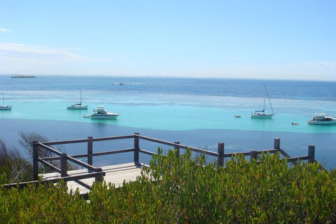 Rottnest Bayseeker Bus Tour From Hillarys Boat Harbour - Accommodation Bookings 3