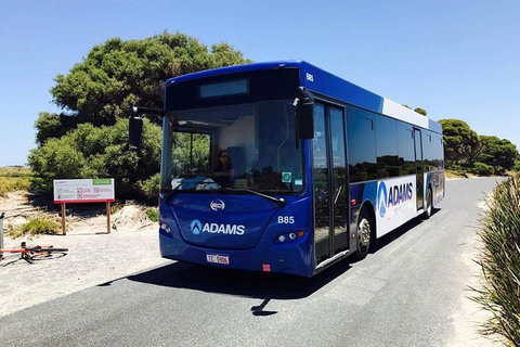 Rottnest Bayseeker Bus Tour From Hillarys Boat Harbour - Accommodation Bookings 2