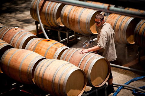 Cape Mentelle Behind The Scenes Tour With Food & Wine Pairing - Accommodation Bookings 5
