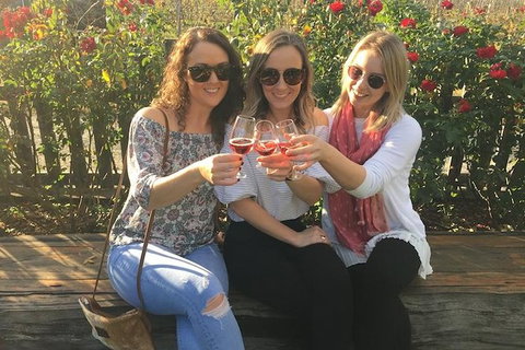 Swan Valley Wine Full Day Tour - Accommodation Bookings 4