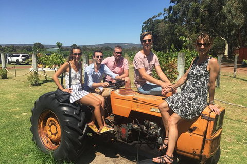 Half Day Swan Valley Wine Tour - Accommodation Bookings 6
