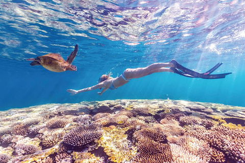 7-Day Exmouth Explorer Via Pinnacles Monkey Mia Ningaloo Reef Returning To Perth - Accommodation Bookings 0