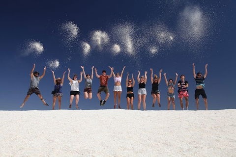 7-Day Exmouth Explorer Via Pinnacles Monkey Mia Ningaloo Reef Returning To Perth - Accommodation Bookings 1