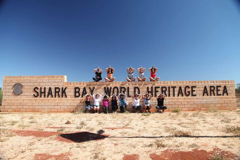 7-Day Exmouth Explorer Via Pinnacles Monkey Mia Ningaloo Reef Returning To Perth - Accommodation Bookings 14
