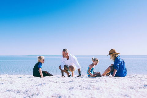 7-Day Exmouth Explorer Via Pinnacles Monkey Mia Ningaloo Reef Returning To Perth - Accommodation Bookings 6
