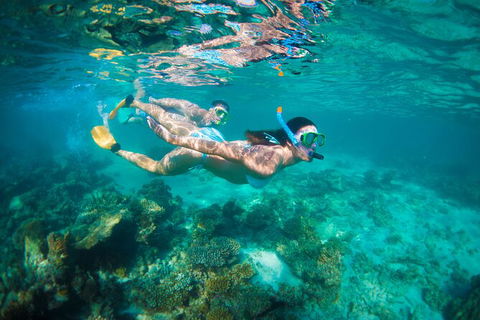 7-Day Exmouth Explorer Via Pinnacles Monkey Mia Ningaloo Reef Returning To Perth - Accommodation Bookings 13