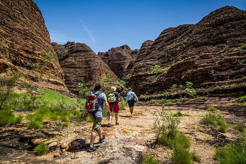 Bungle Bungle Scenic Flights, Domes & Cathedral Gorge Walk - Accommodation Bookings 4