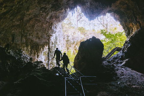 Mammoth Cave Self-guided Audio Tour - Accommodation Bookings 1