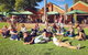 Sunday Afternoon Swan Valley Wine & Brewery Tour From Perth - thumb 0
