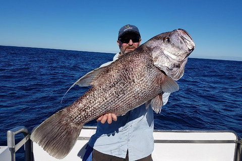 Deep Sea Fishing Charter From Perth - Accommodation Bookings 1