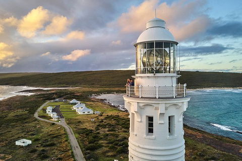 Cape Leeuwin Lighthouse Fully-guided Tour - Accommodation Bookings 0
