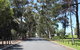 Claremont Heritage Tour From Perth - thumb 0