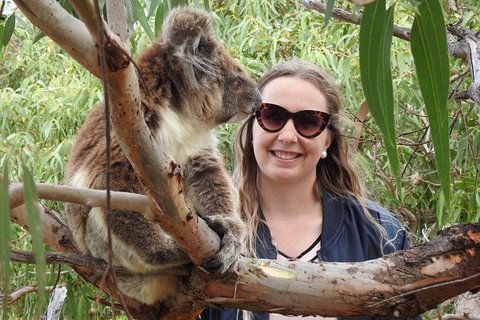 9-Day Perth To Adelaide Adventure Tour - Accommodation Bookings 3