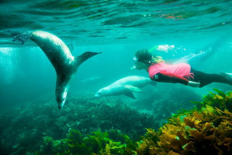 9-Day Perth To Adelaide Adventure Tour - Accommodation Bookings 7