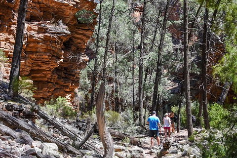 9-Day Perth To Adelaide Adventure Tour - Accommodation Bookings 15