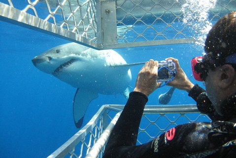 9-Day Perth To Adelaide Adventure Tour - Accommodation Bookings 5