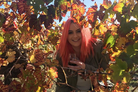 Swan Valley Winery Experience - Full Day Coach Tour - Accommodation Bookings 0