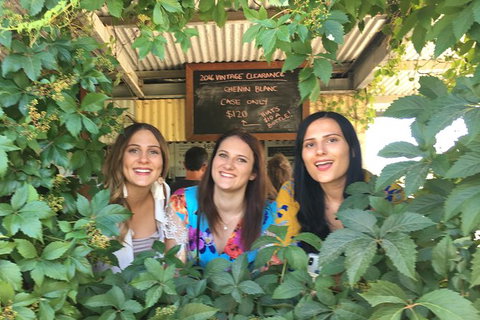 Perth River Cruise And Vineyard Experience: Best Of Both Worlds - Accommodation Bookings 1