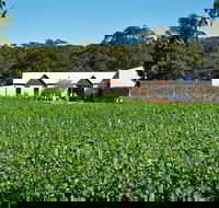 Upper Reach Winery Swan Valley Winery and Vineyard Tour - Accommodation Bookings