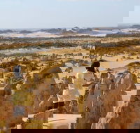 Full-Day Pinnacles Sandboarding and Yanchep National Park from Perth - Accommodation Bookings