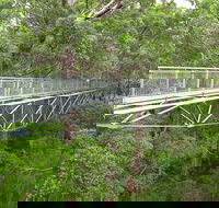 Albany Southwest Wilderness Day Tour - Fly From Perth - Accommodation Bookings