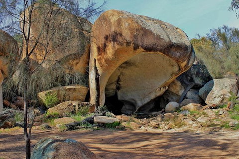 Wave Rock & Rottnest Island - Air & Ground Tour - Accommodation Bookings 7